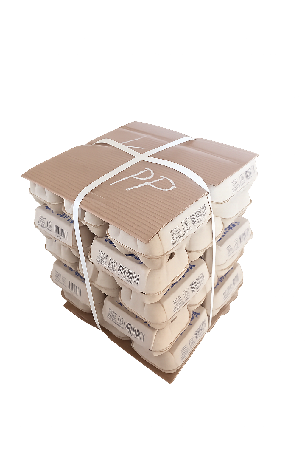 Vryloop Eggs - Image 4